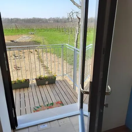 Zafferano, With Vineyard Views! Дом отдыха Corno di Rosazzo