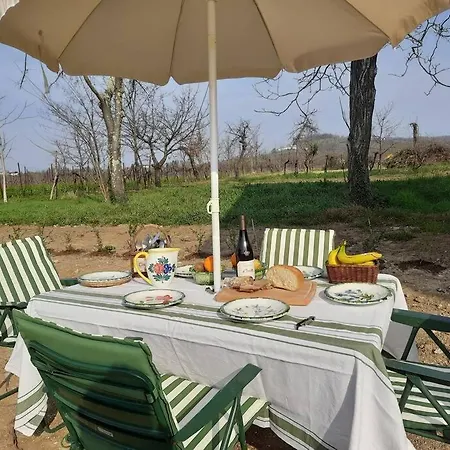Дом отдыха Zafferano, With Vineyard Views! *