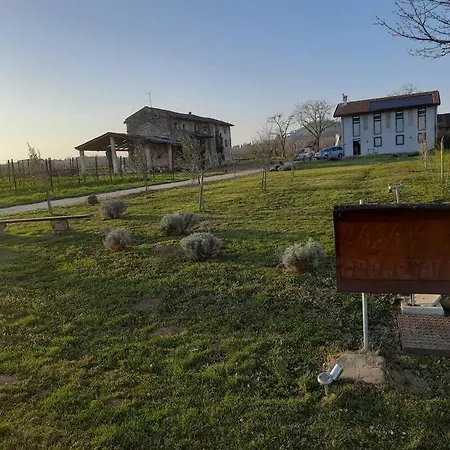 Zafferano, With Vineyard Views! Дом отдыха *