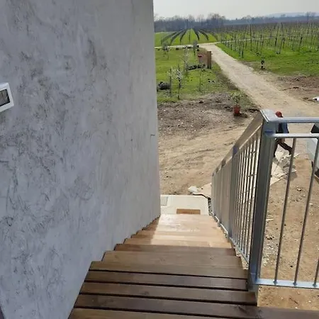 Zafferano, With Vineyard Views! *
